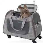 Outing Portable Breathable Puppy Carrier