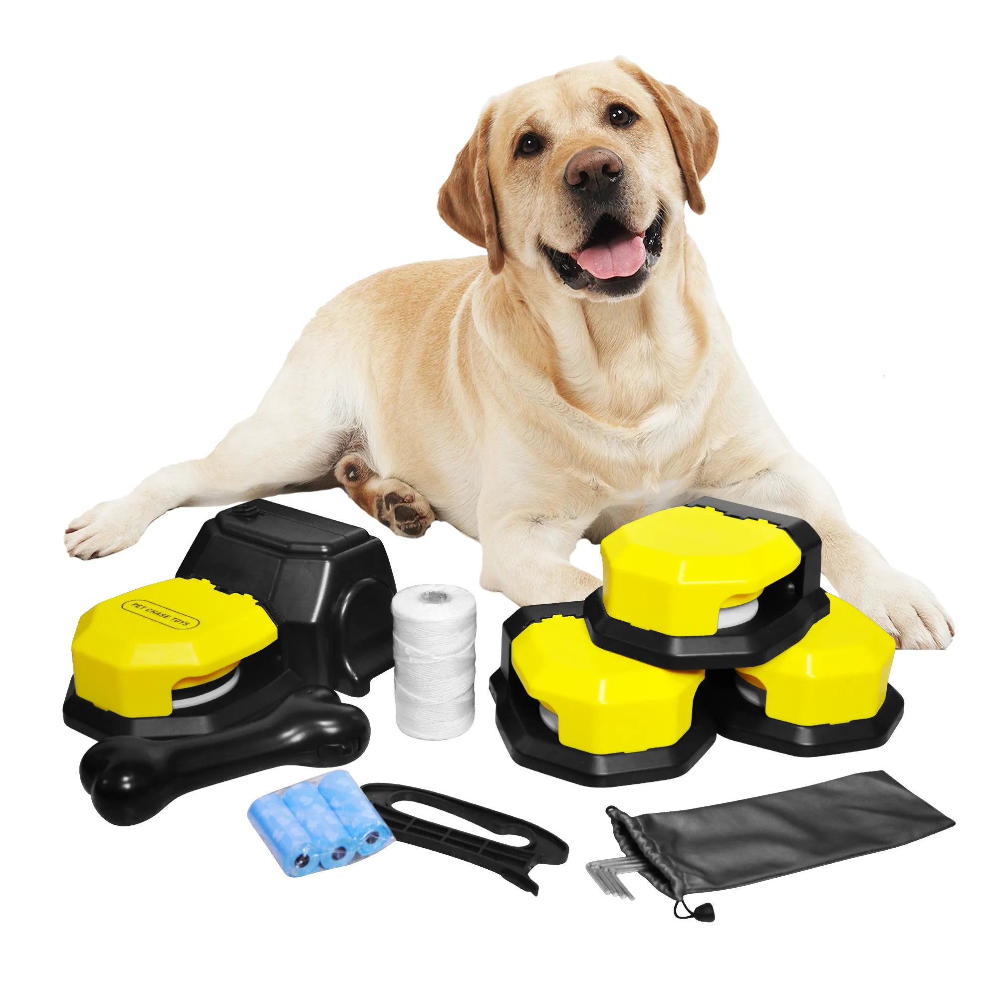 Dog Chase Toys