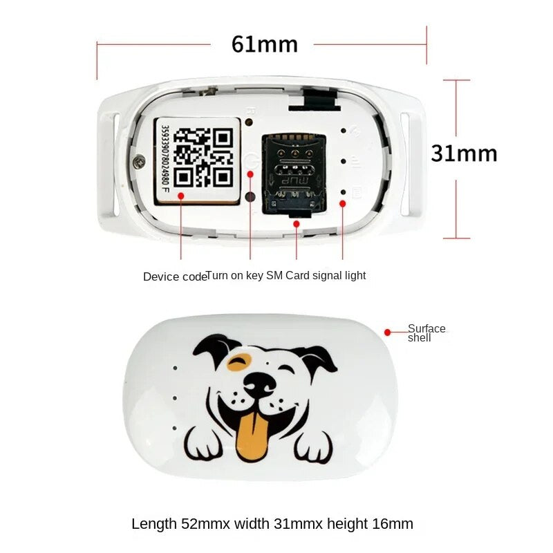 4G GPS Pet Tracker: Waterproof Dog & Cat Locator