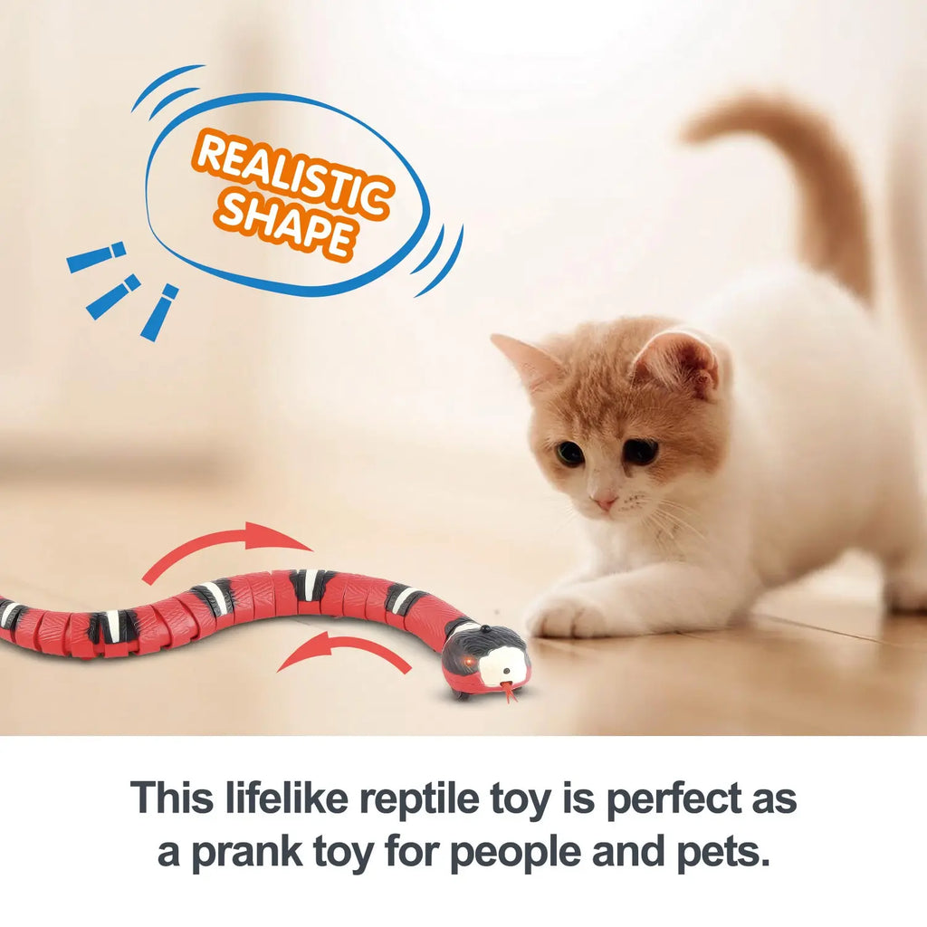 Snake Cat Teaser Indoor Play Kitten Toy USB Rechargeable