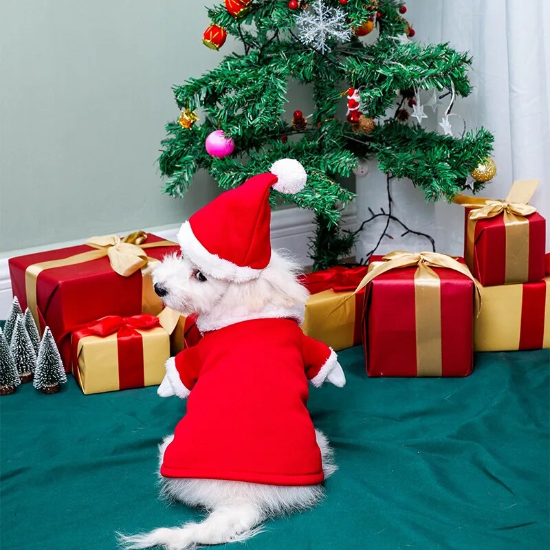 Cosplay Costumes Dogs Cat Hoodies