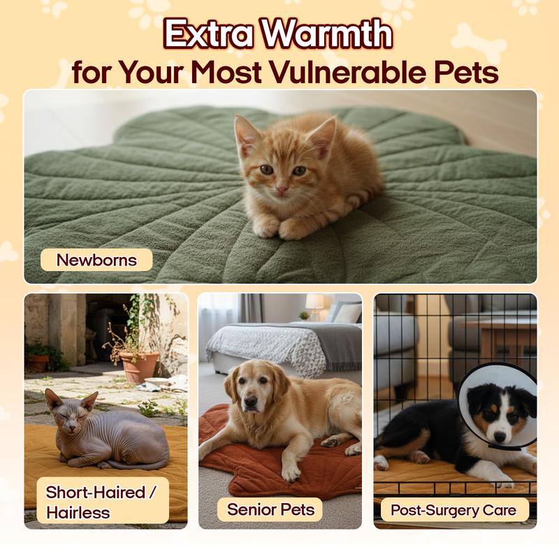 We Love Our Pets: Heated Pet Pad