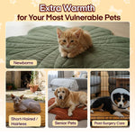 We Love Our Pets: Heated Pet Pad