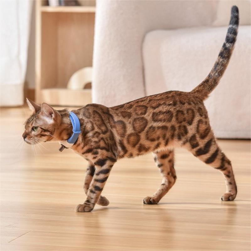 Cat Toy Laser Collar