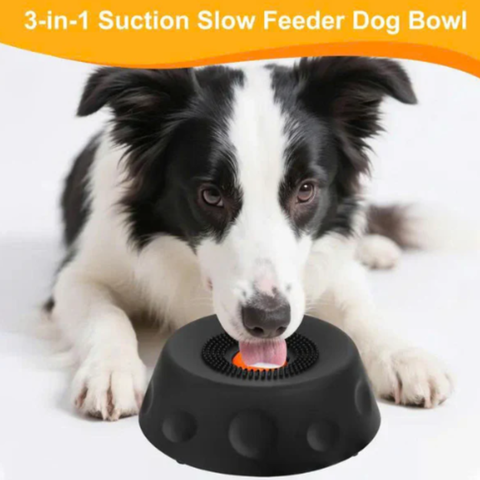3-in-1 Calming Dog Bowl