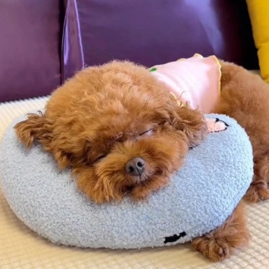 The Calming Pillow